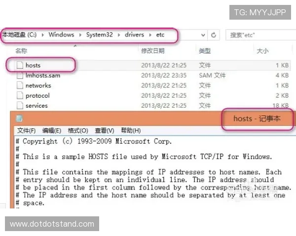 UED平台登入失败的原因分析及有效的解决方案推荐